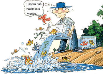 Consecuencia De La Espancion De Cafe Consecuencia De La Espancion De Cafe