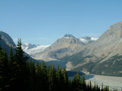 Ice Fields Parkway view