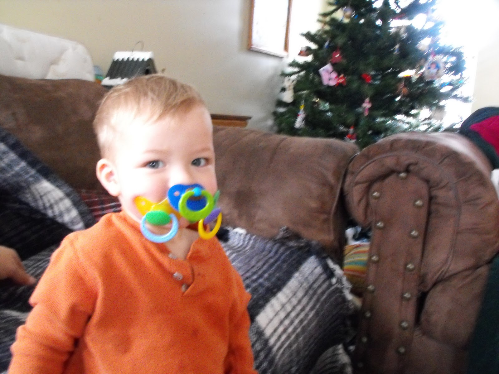 PlantTopper Help Addiction or Indecisive?? Baby Pacifier addiction