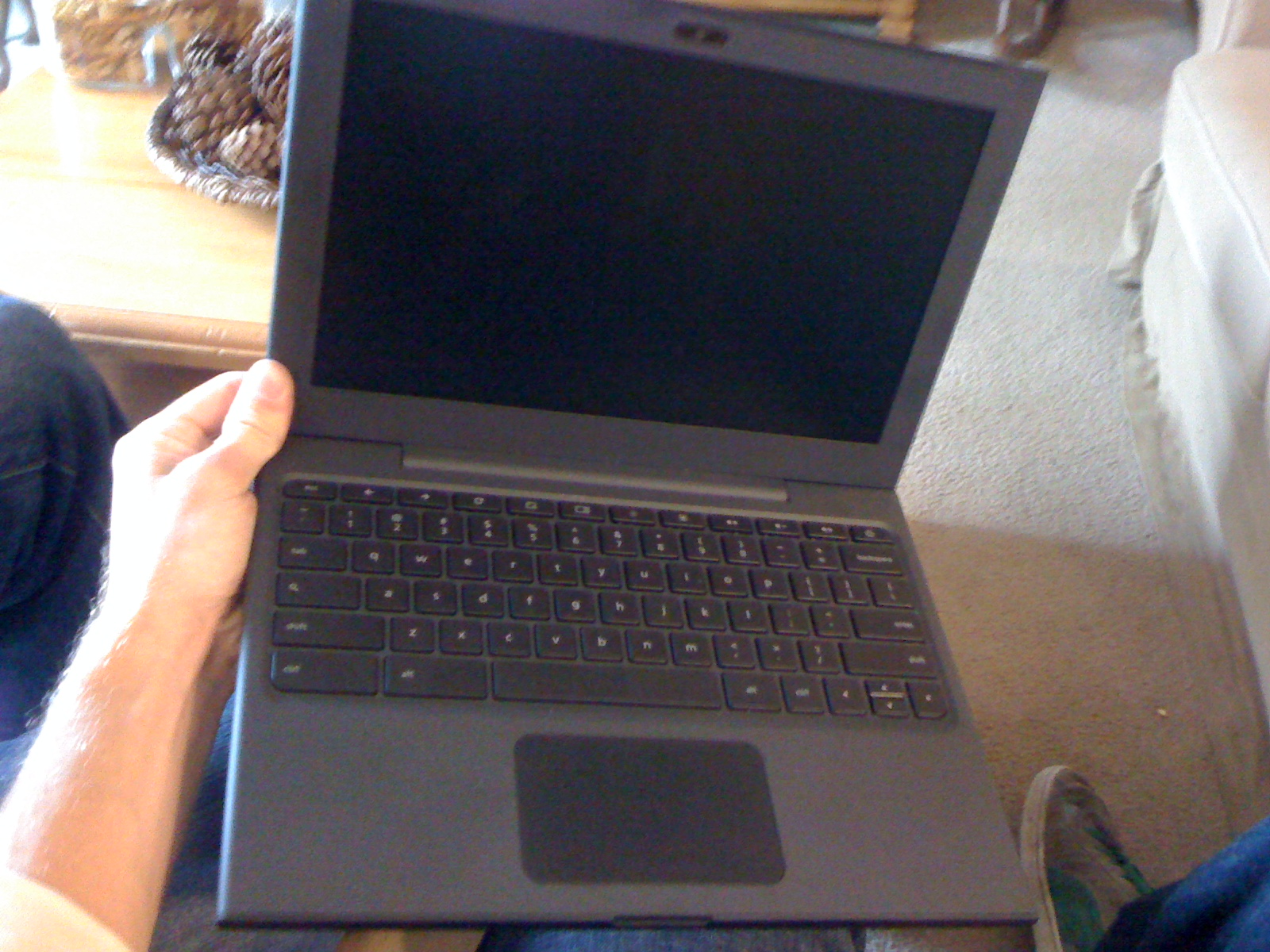 Writing Anything Getting a First Look at the Free Google Notebook