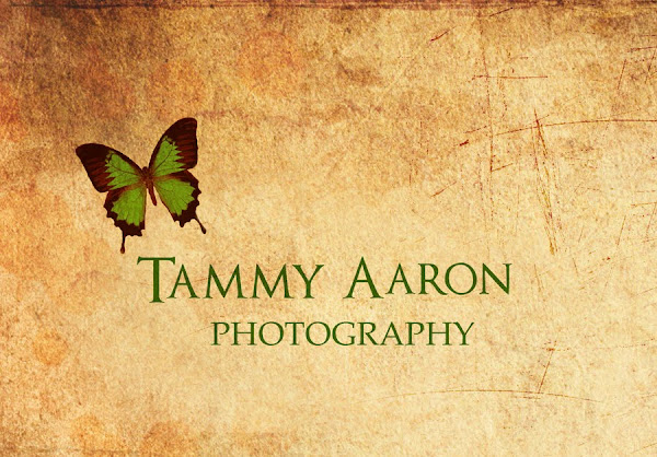 Tammy Aaron Photography