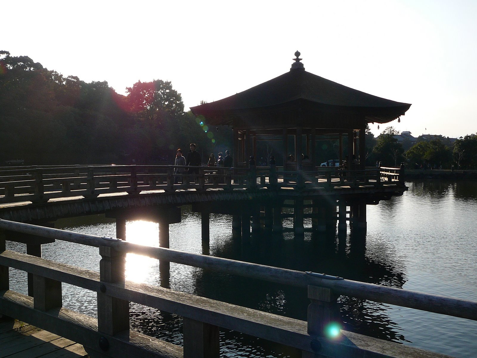 [P1020954.JPG]