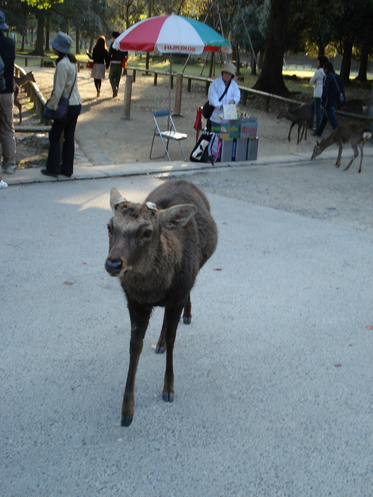 [DSC01461.JPG]