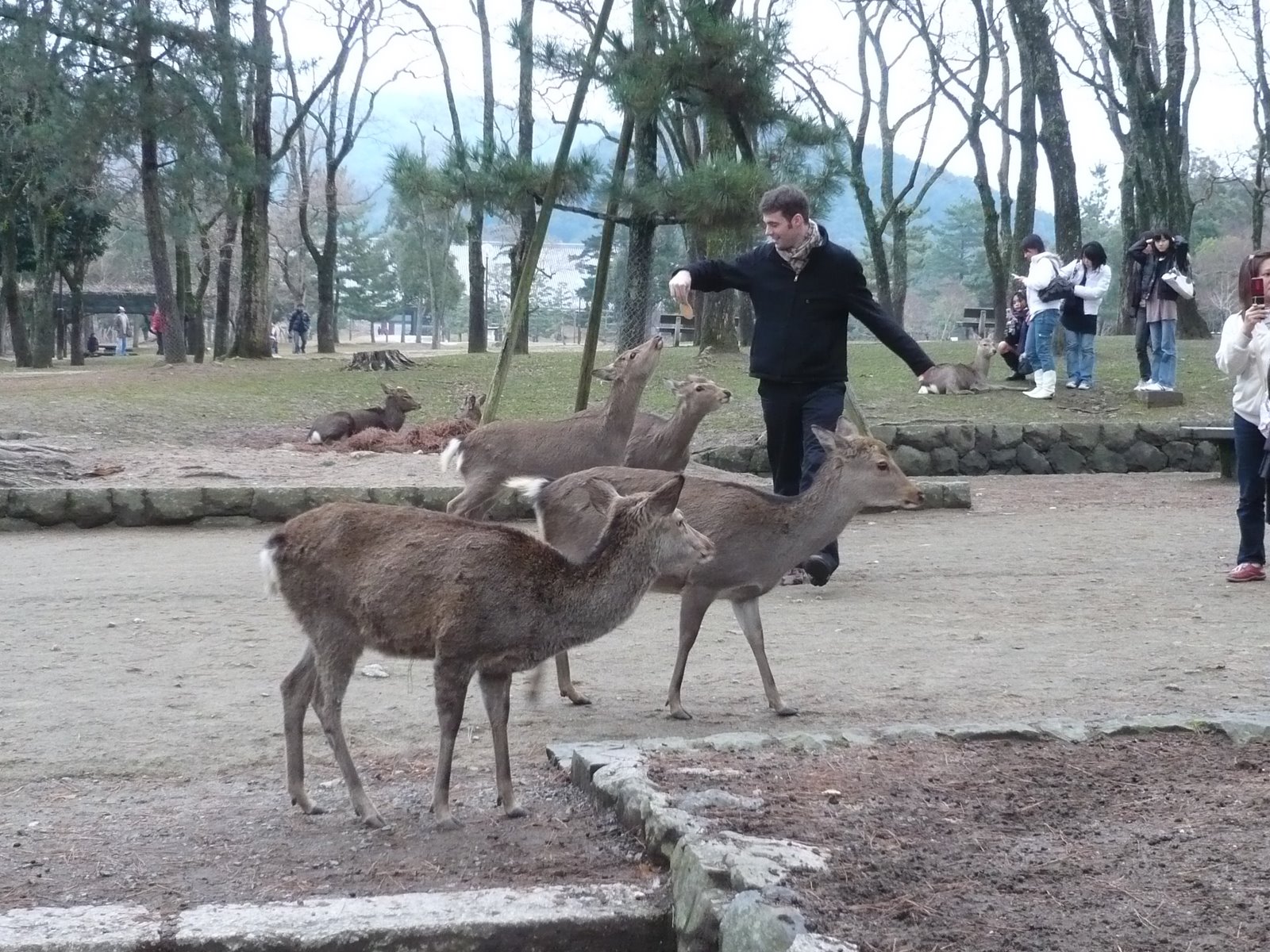 [P1010982.JPG]
