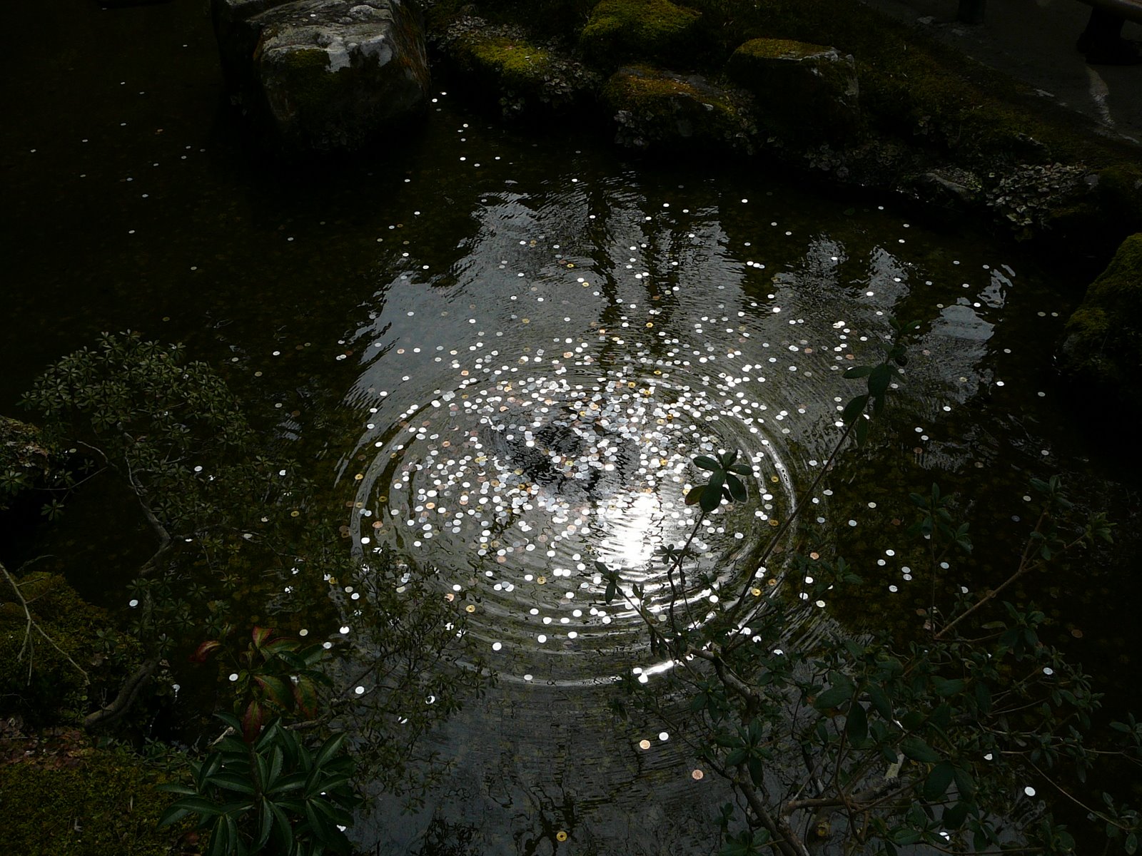 [P1050779.JPG]