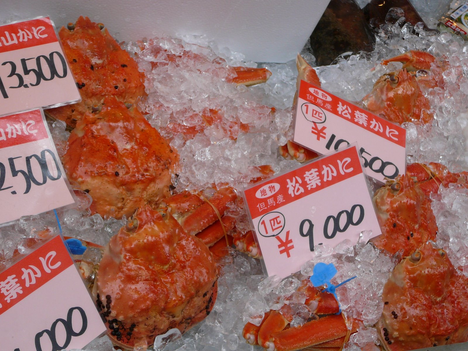 [P1060256.JPG]