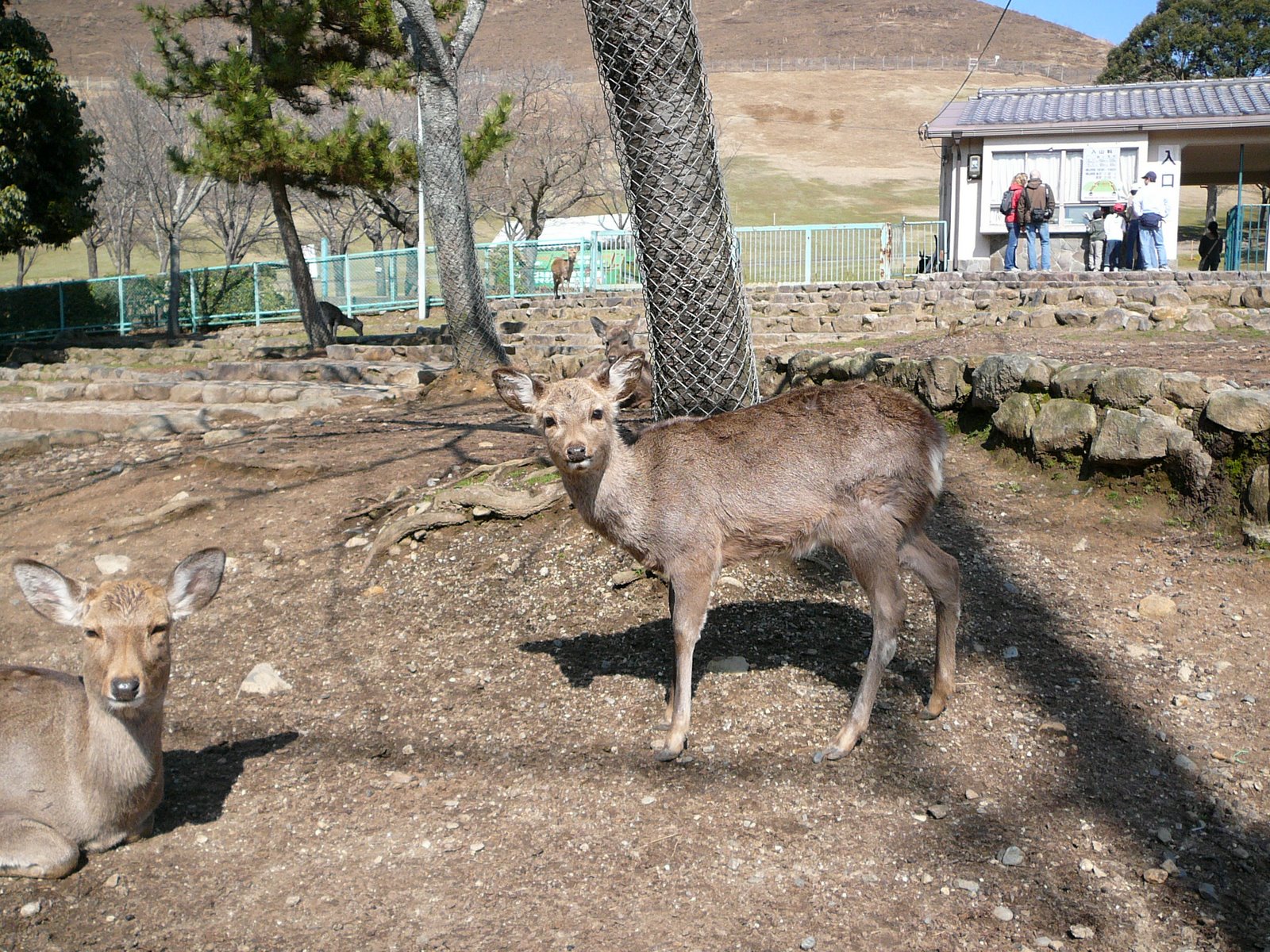 [P1060846.JPG]