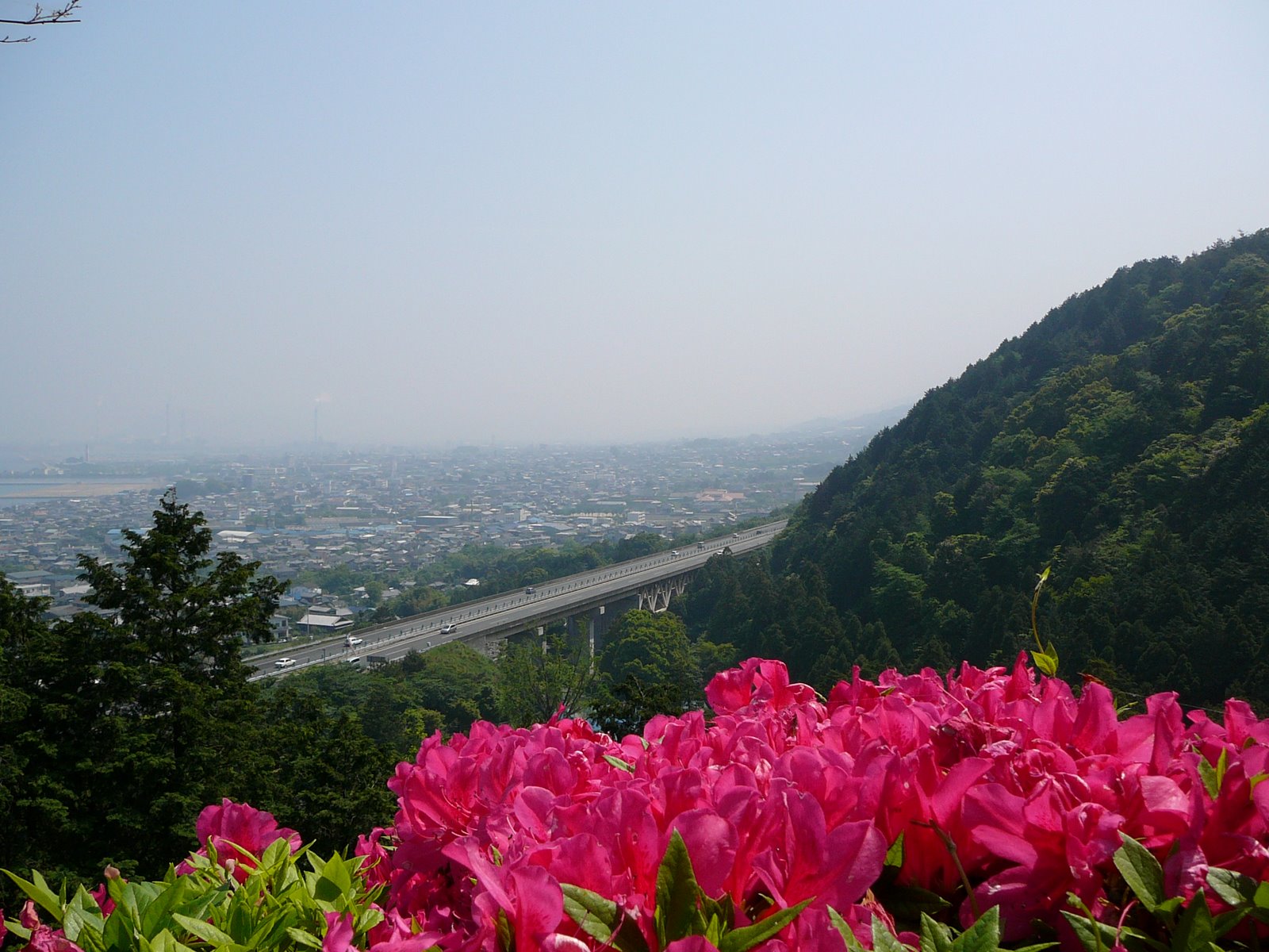[P1100347.JPG]