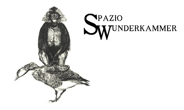 SpazioWunderkammer