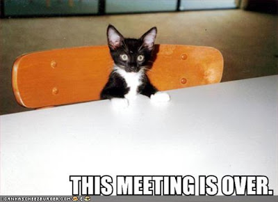 http://2.bp.blogspot.com/_pc5YDjTcfFU/S5Jk5eqEOlI/AAAAAAAAVjY/CTlOptBQ5ms/s400/funny-pictures-kitten-ends-meeting2.jpg