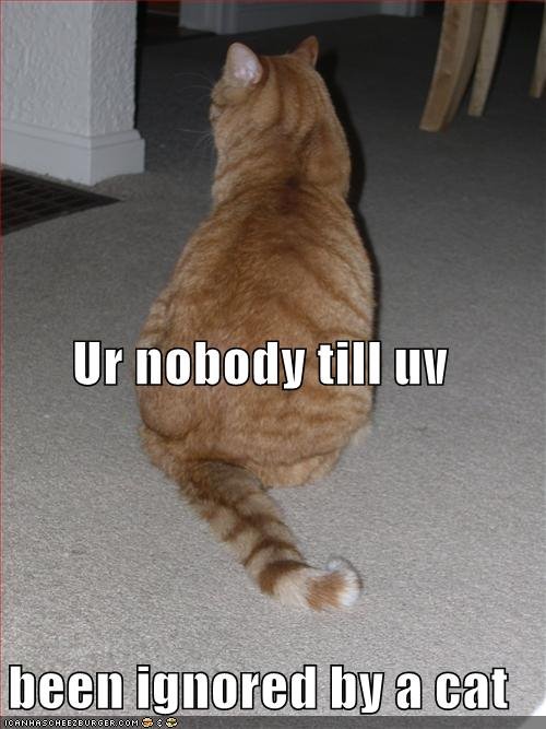 [nobody.bmp]