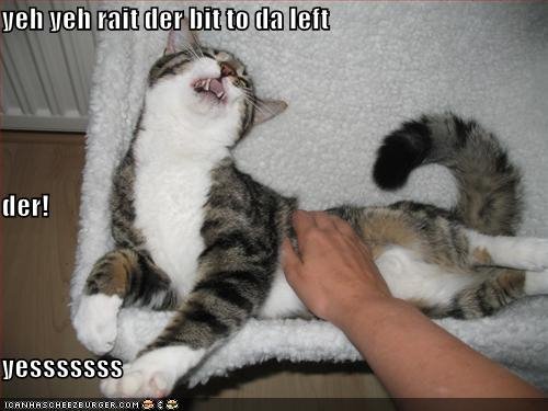 [backrub.bmp]