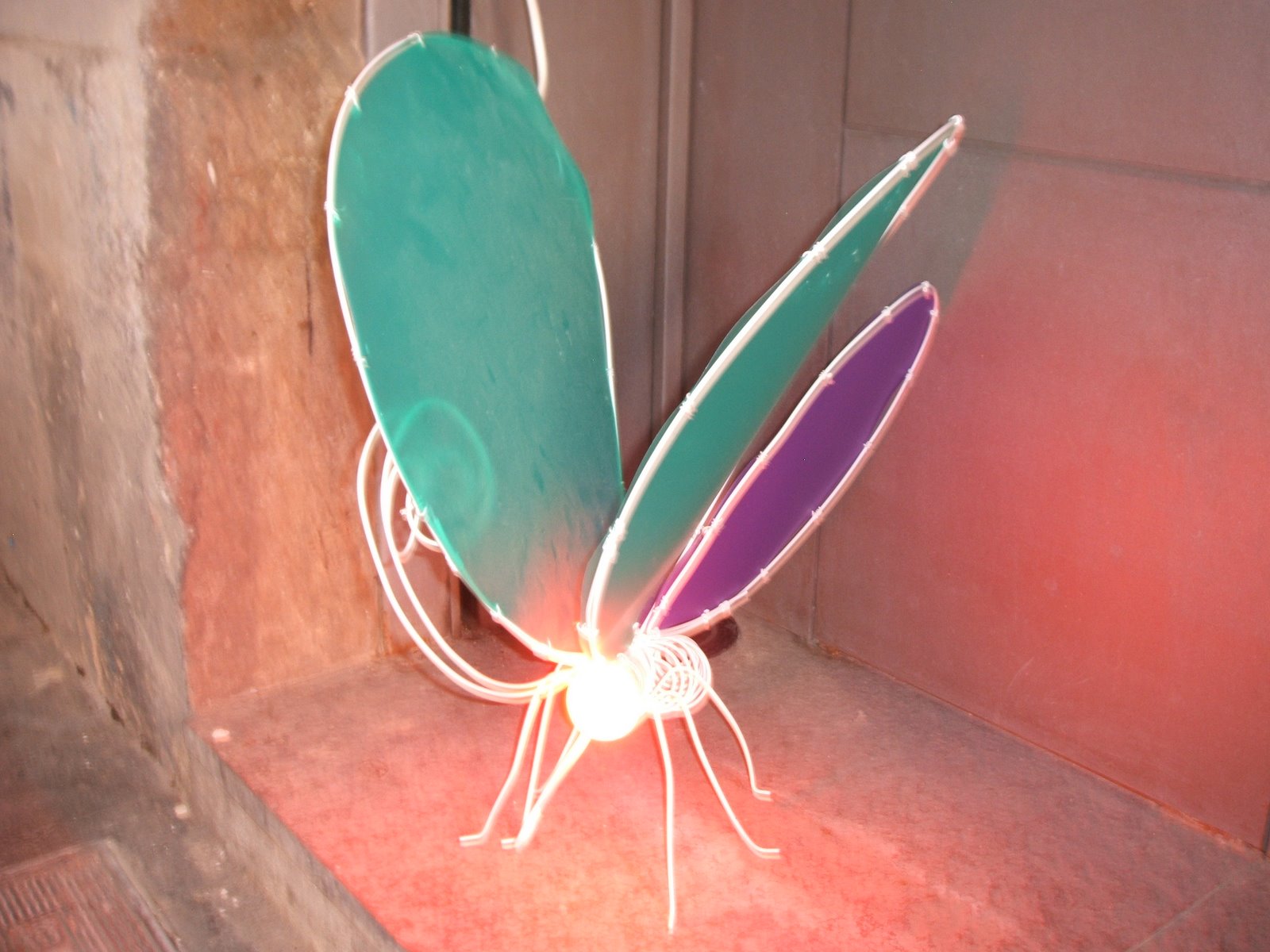 [DSCF0214.JPG]