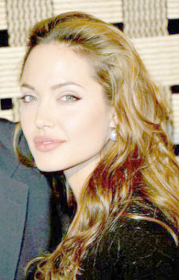 Angelina Jolie Hotel Rwanda