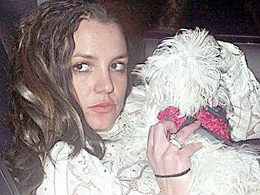 Britney Spears Suicide