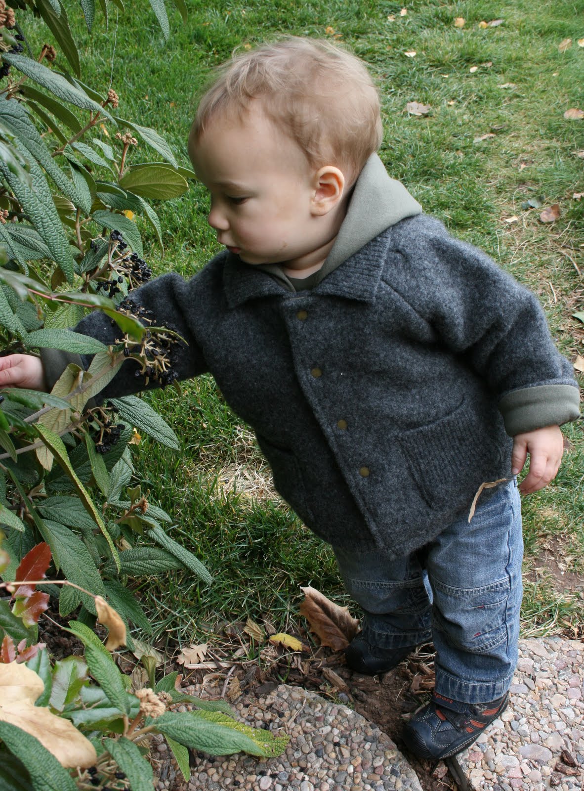 [IMG_7082.JPG]