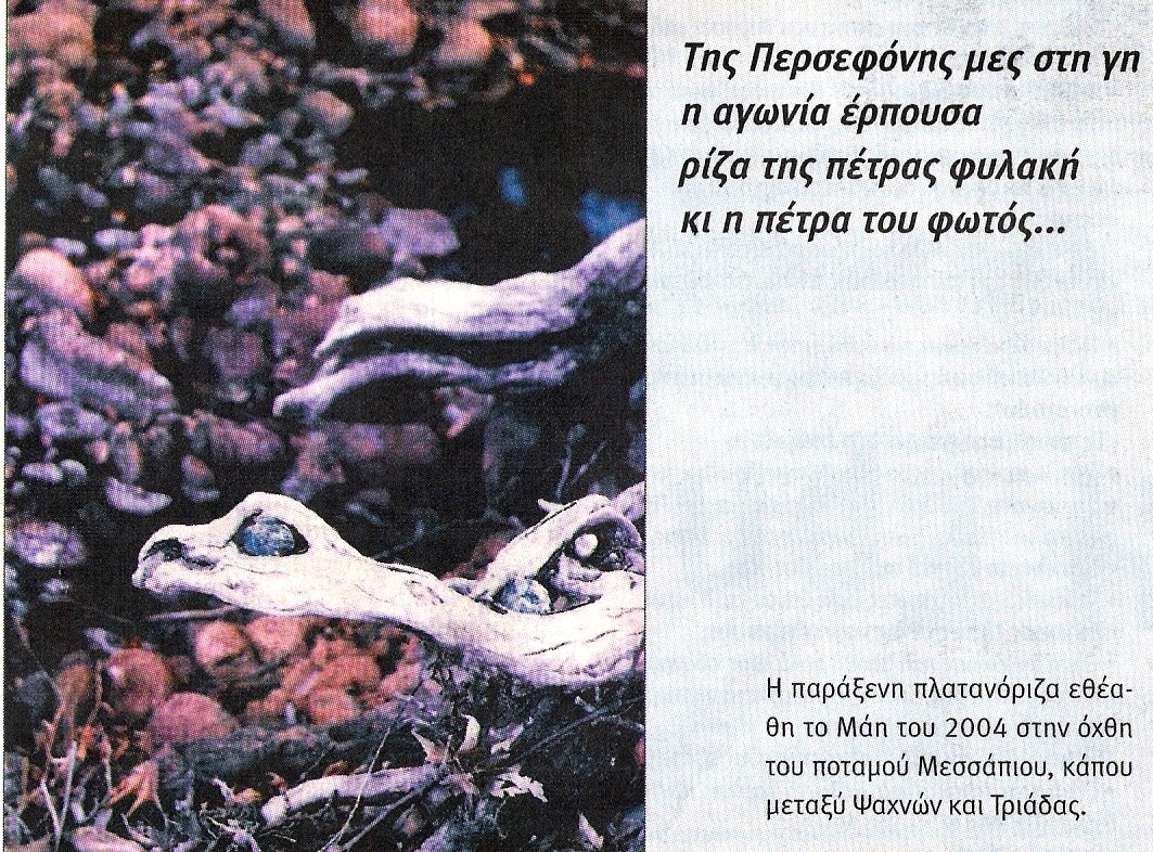 [03..jpg]