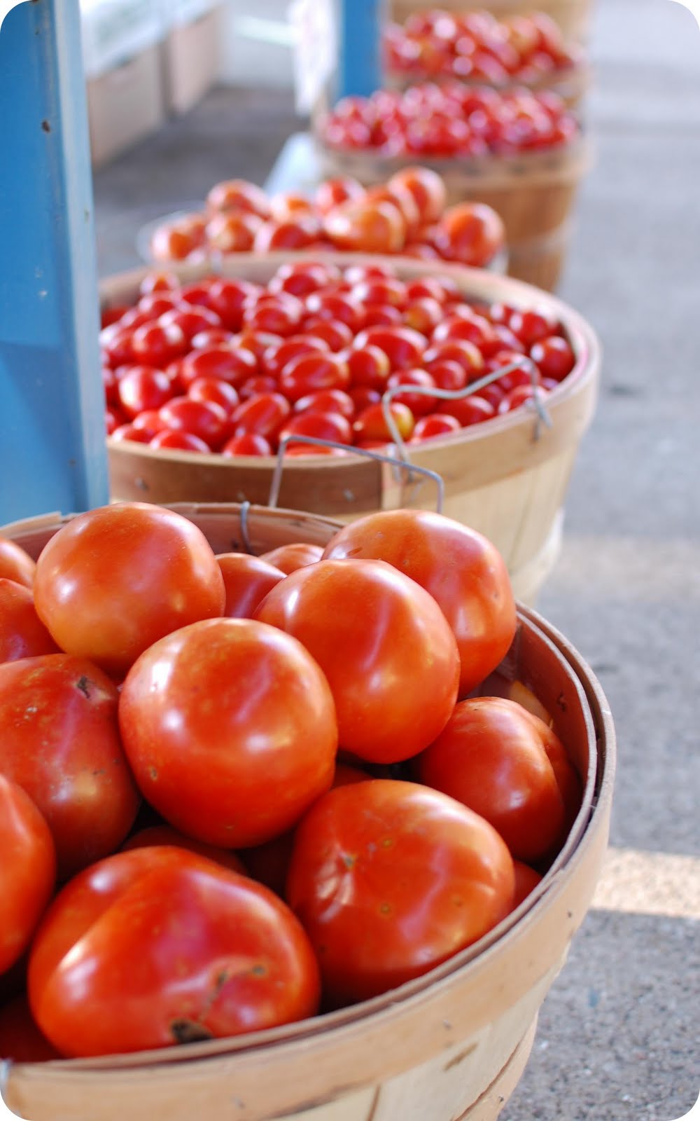 33 Shades of Green Canning Salsa and Tomato Sauce