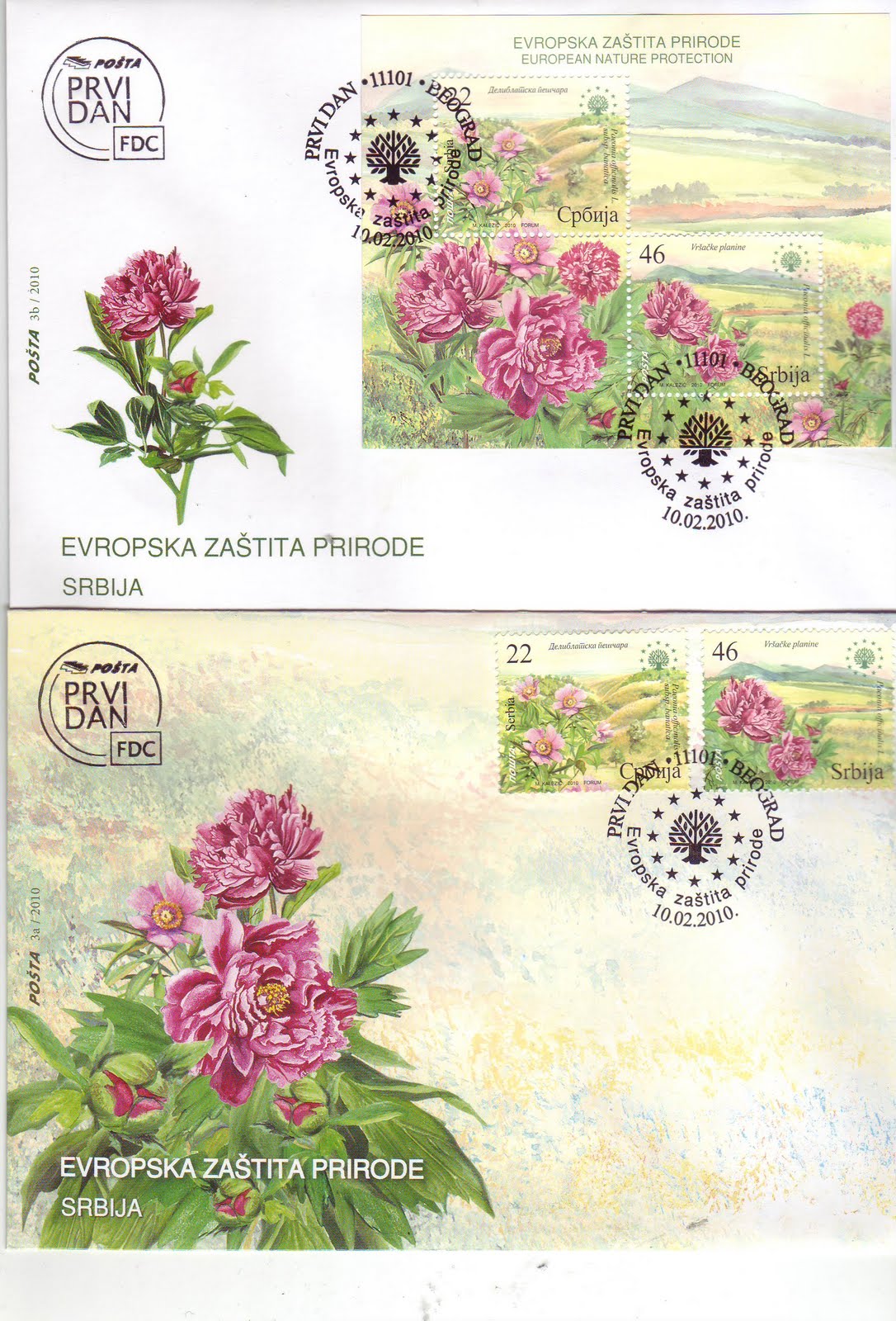 [3-2010+Nature+prot.+FDC.JPG]