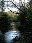 Qué placer cantar bajo la lluvia.