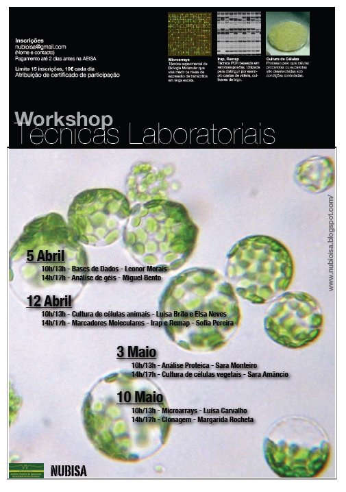 [poster+WS+técnicas+Lab.bmp]
