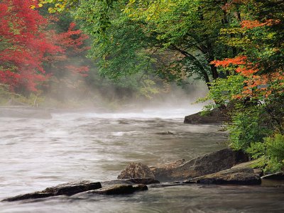 wallpapers en movimiento