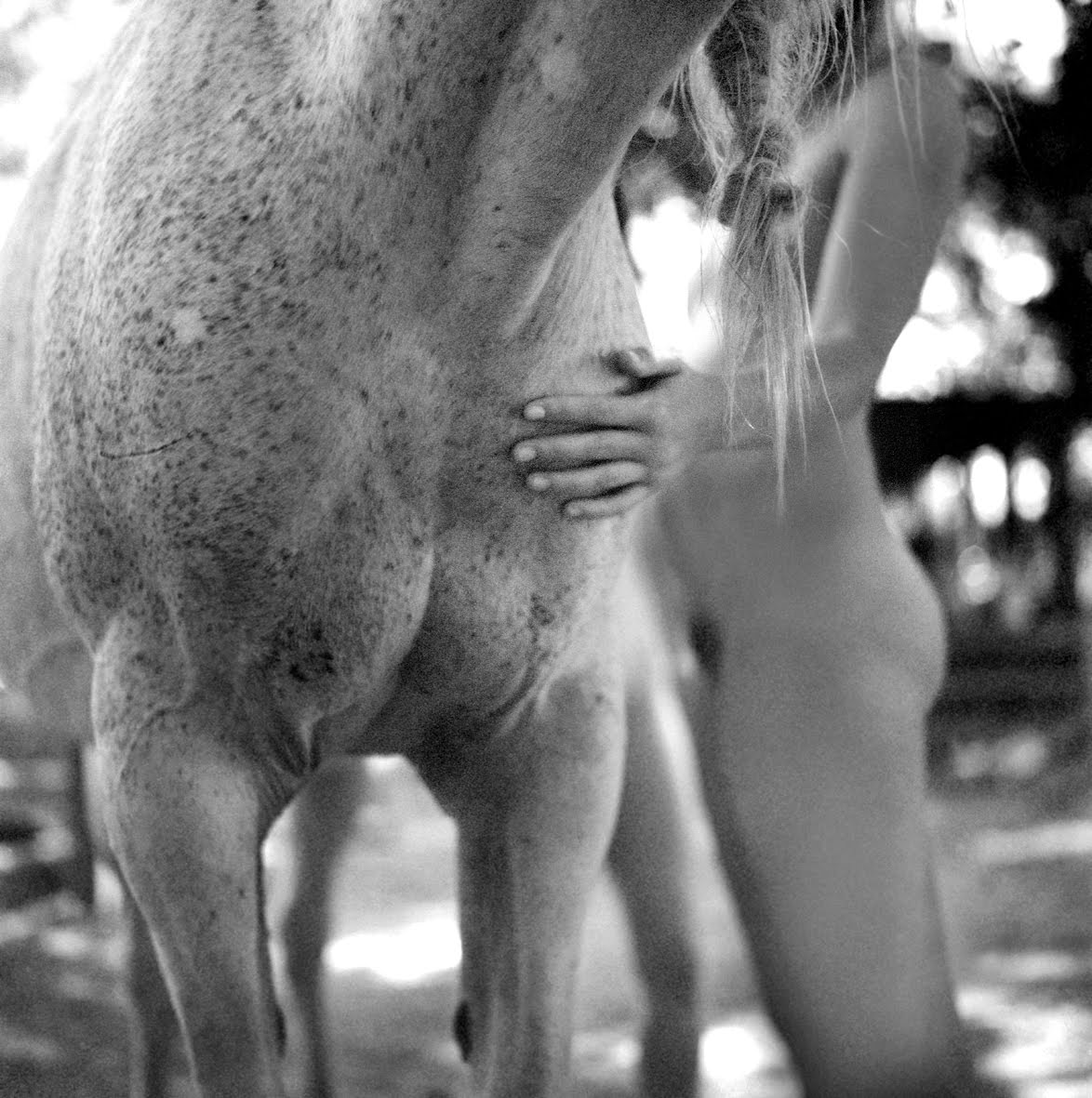 [Woman+and+Horse.jpg]