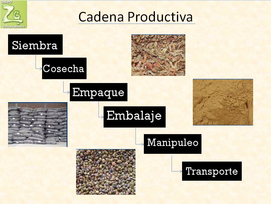 cadenas productivas en peru tara per 218 cadena productiva cadenas productivas en peru tara per 218 cadena productiva