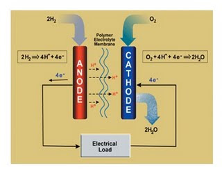 Nitrogen Occurrence | RM.