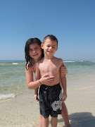 Beach Pictures (pcb )