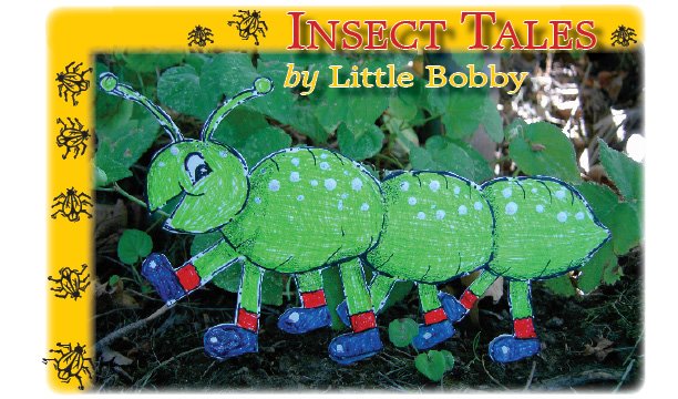Insect Tales
