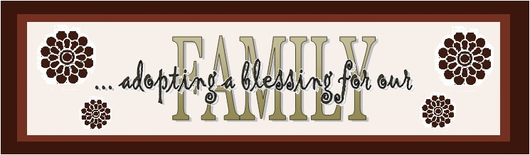 ADOPTING A BLESSING: Our Adoption Blog