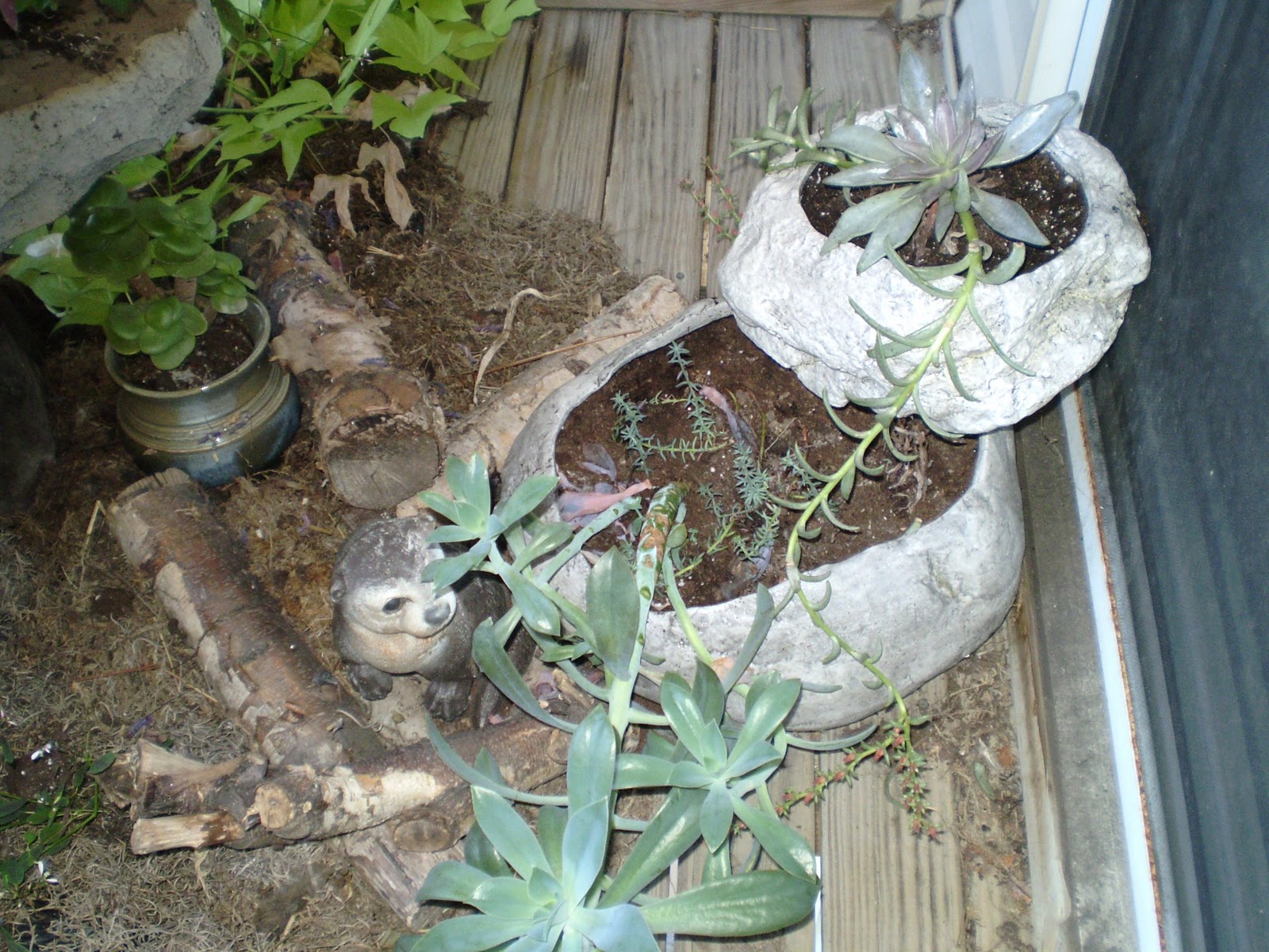 Gardening Naturally with Claudia: Patios Garden - Small Space Gardening