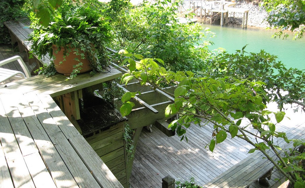 paradis express: Jim Scott Garden