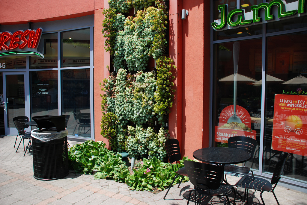 Problems With Jamba Juice In India - Stars In The Sky