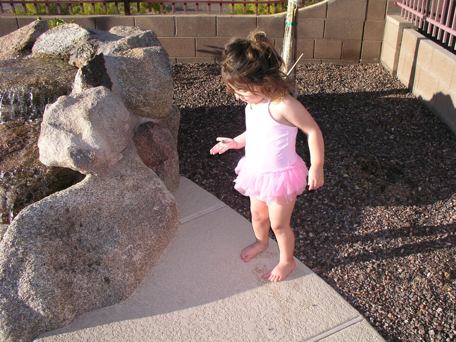 [AZ022010+007.jpg]