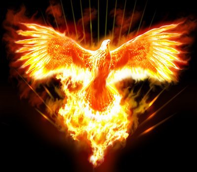 [FENIX.jpg]