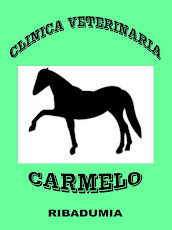 CLINICA CARMELO