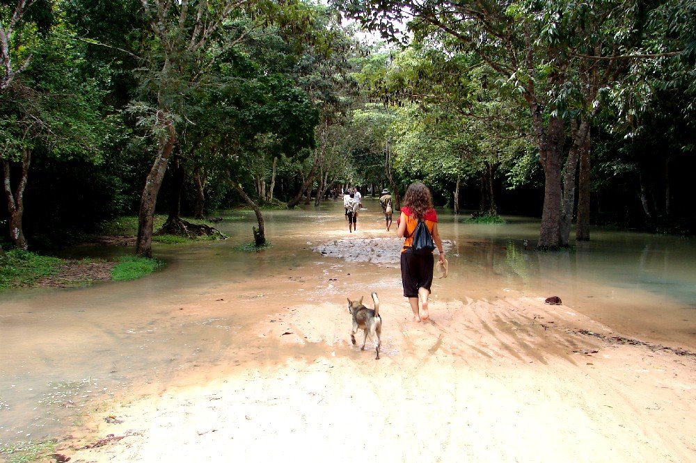 [THAI1+0337.JPG]