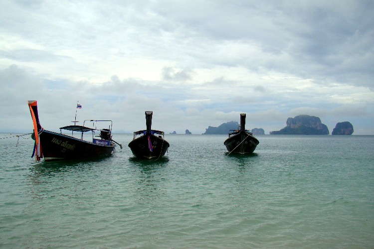[DSC07968.JPG]