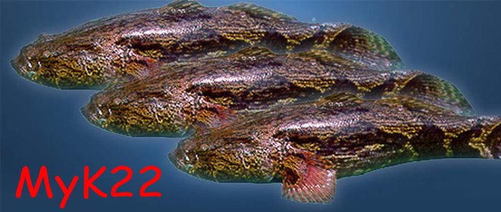 MyK22