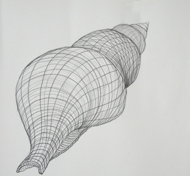 contour sketches contour sketches