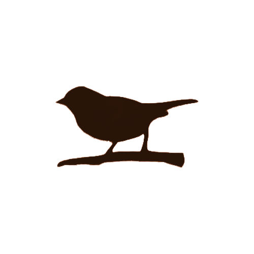 [perched+bird+brown+solid.jpg]