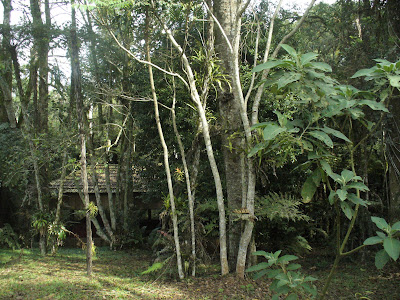 Opiniones de parque provincial cruce caballero