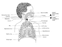 acute respiratory tract infection