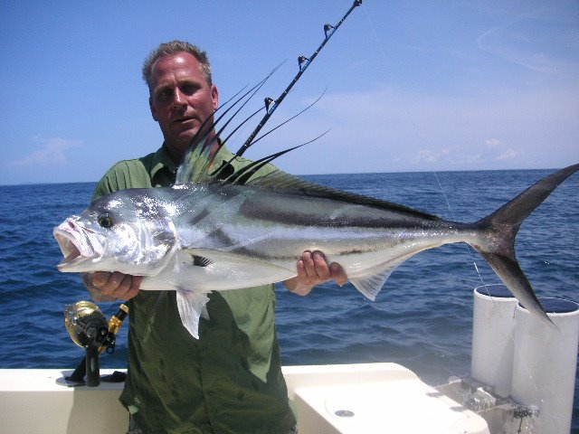 Panama RoosterFish