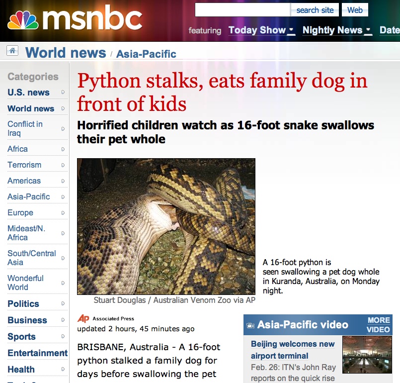 [python.jpg]