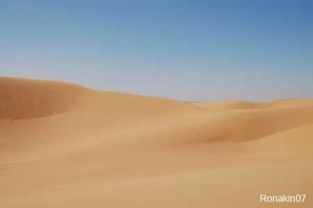 [NGG2007-12-05_14-04-23DSC_2544.jpg]