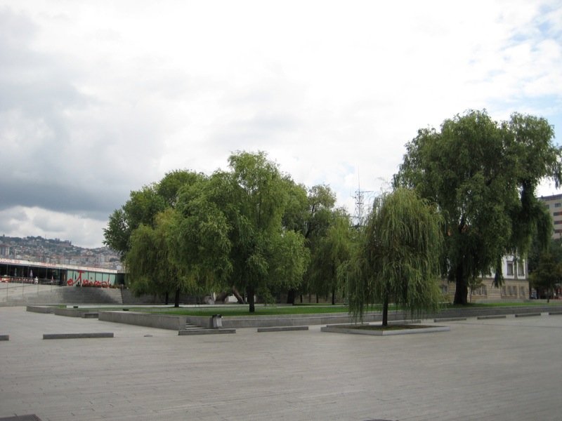 [IMG_3060.JPG]