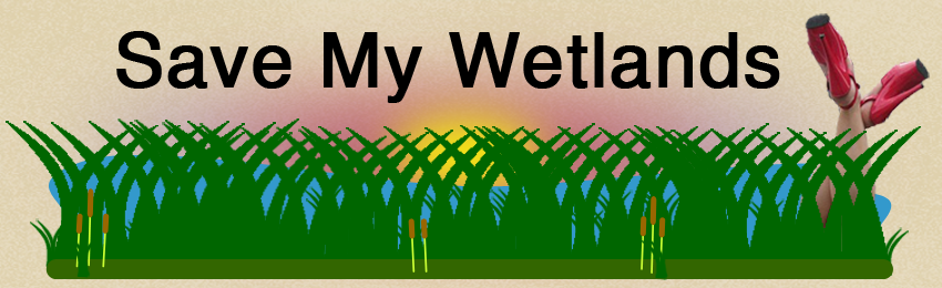 Save My Wetlands